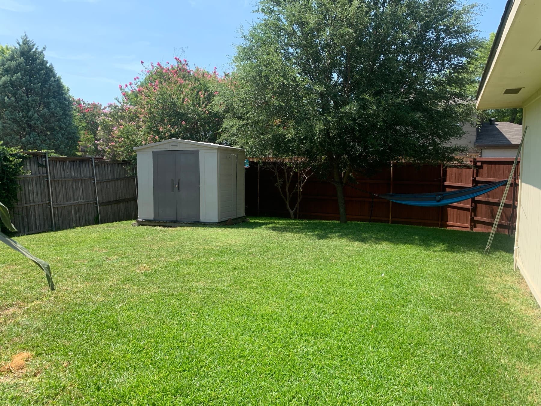 The bare back lawn with a plastic storage shed