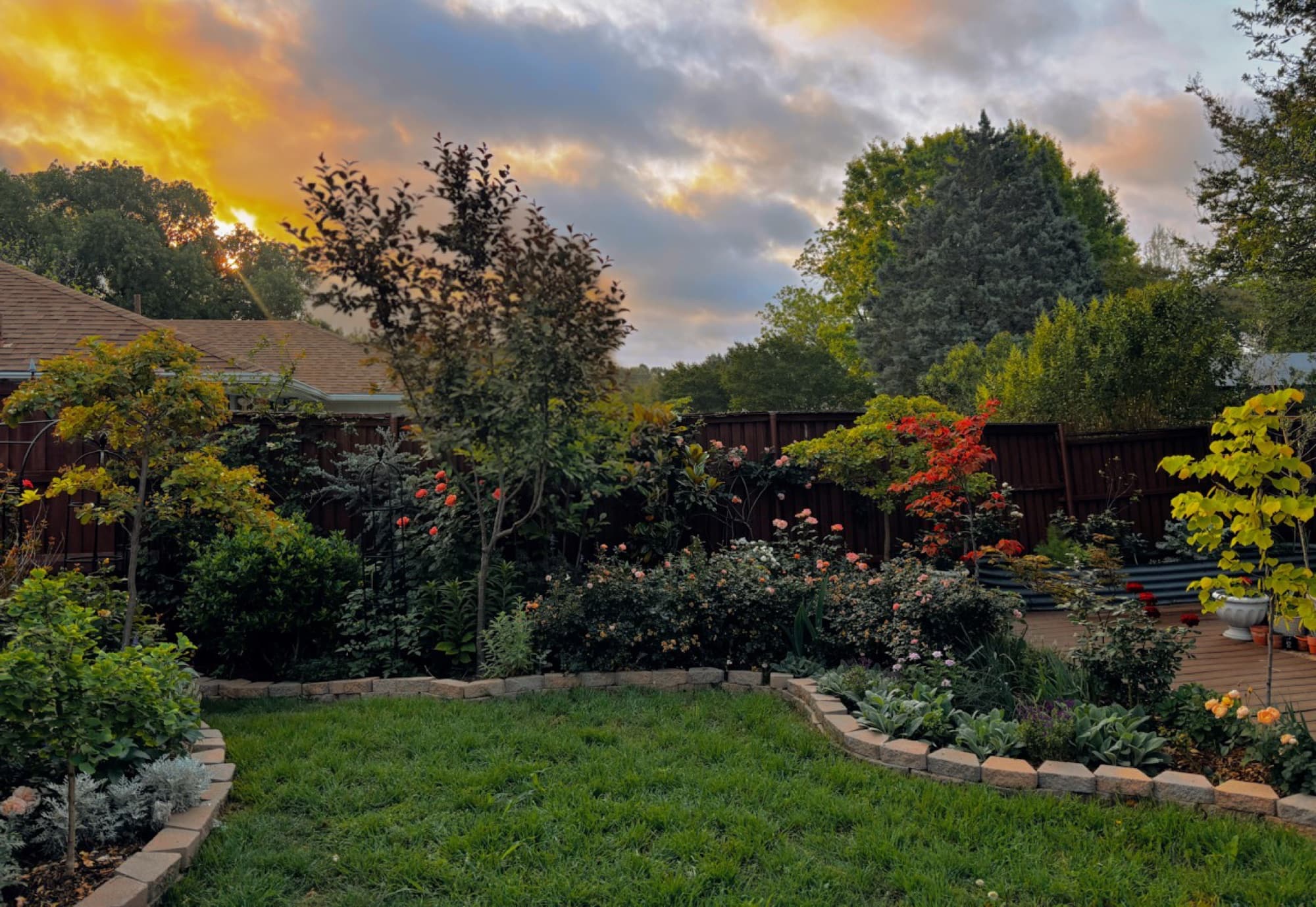 Kelsie Dunham's garden, moment 12