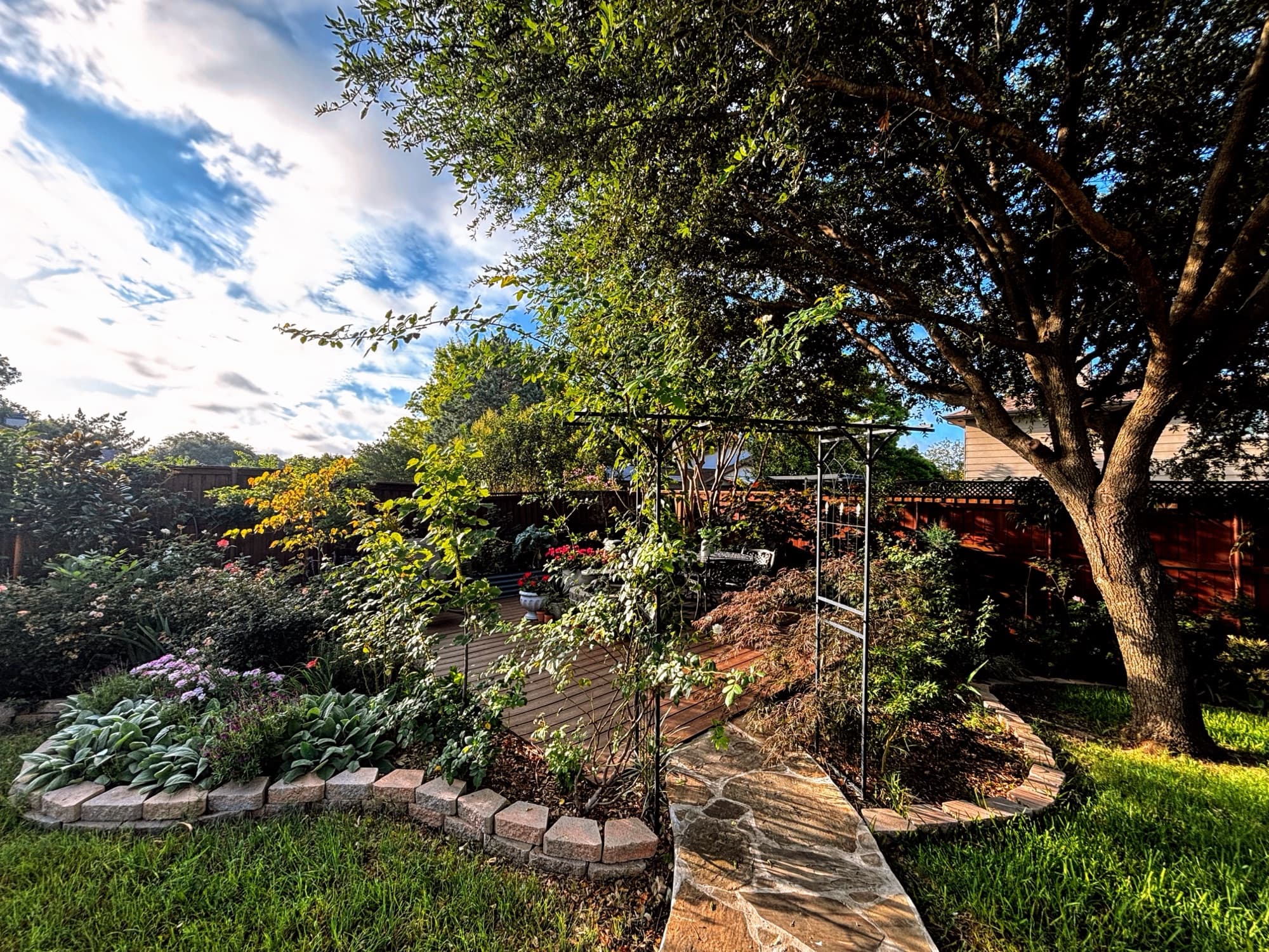 Kelsie Dunham's garden, moment 31