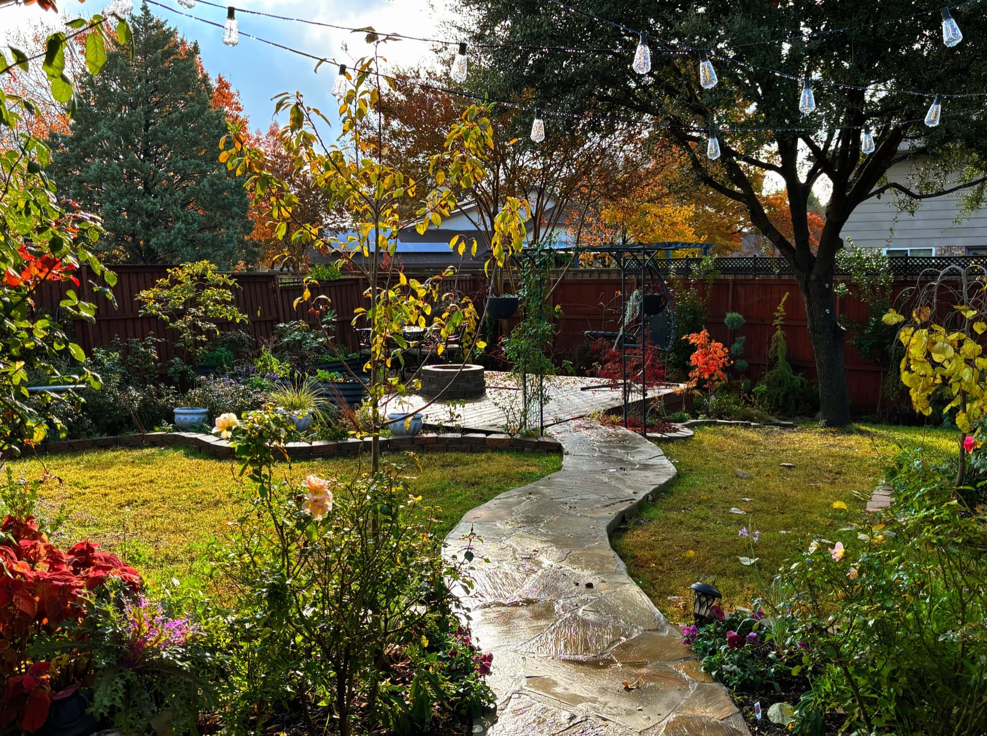 Kelsie Dunham's garden, moment 69