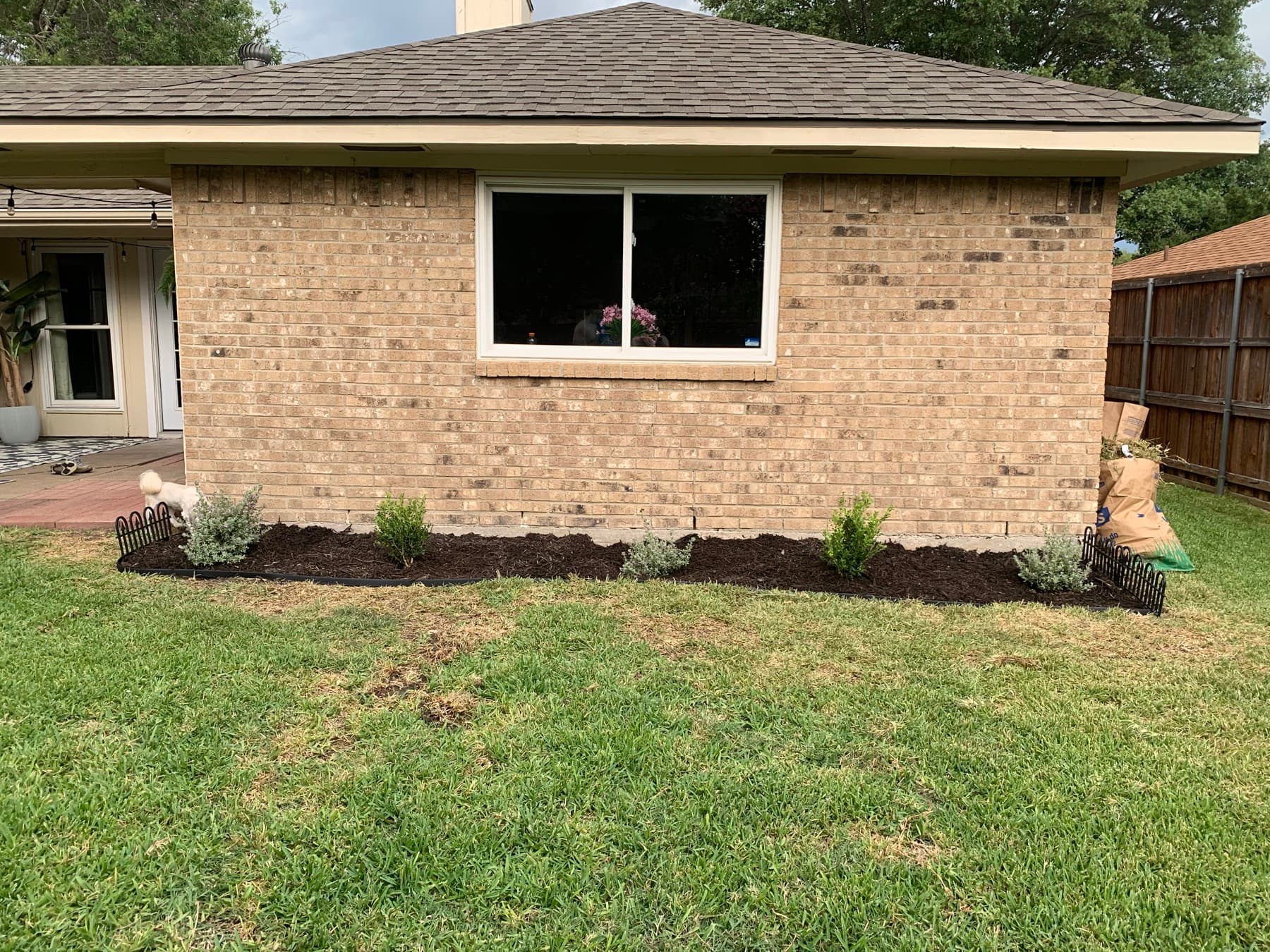 A bare mulch bed with a few small shrubs along the brick wall