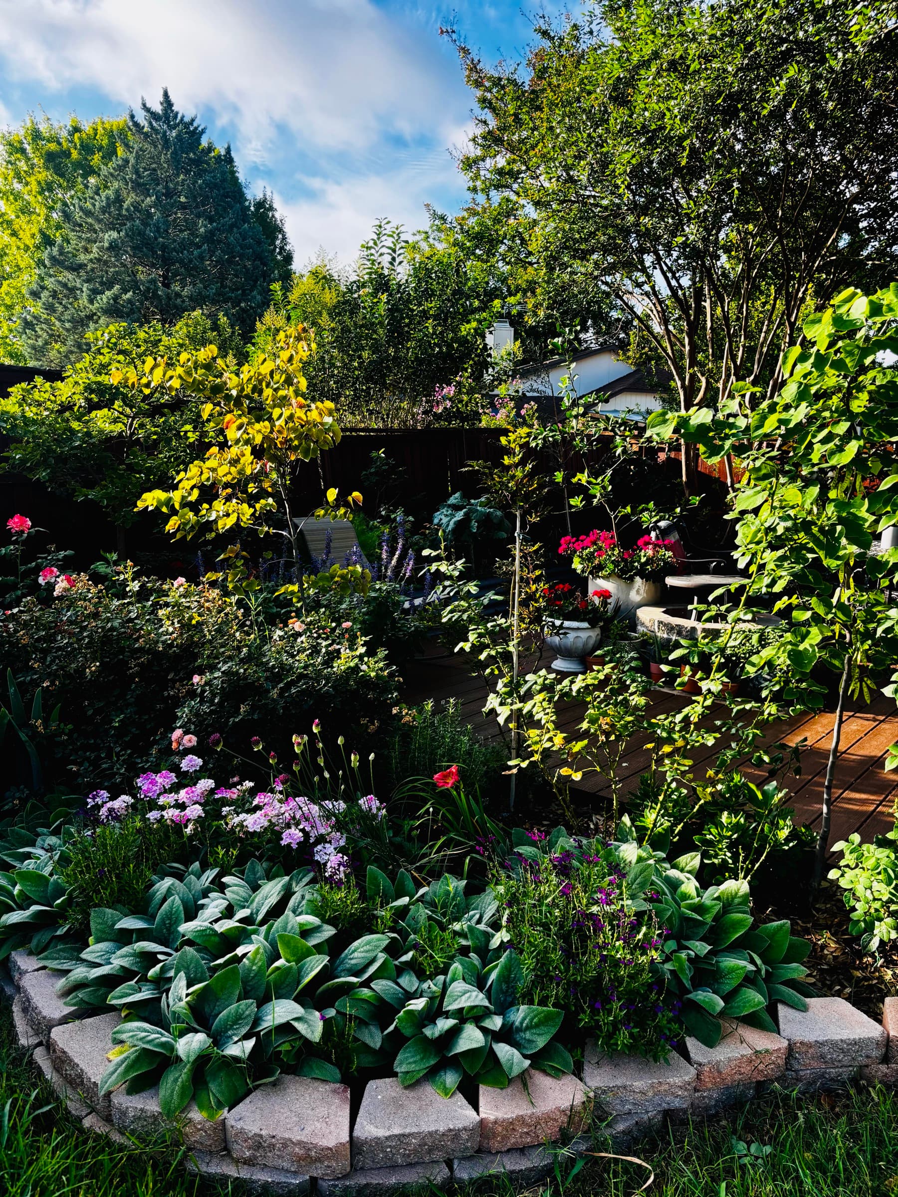 A layered garden room with a stone-edged bed of hostas and phlox