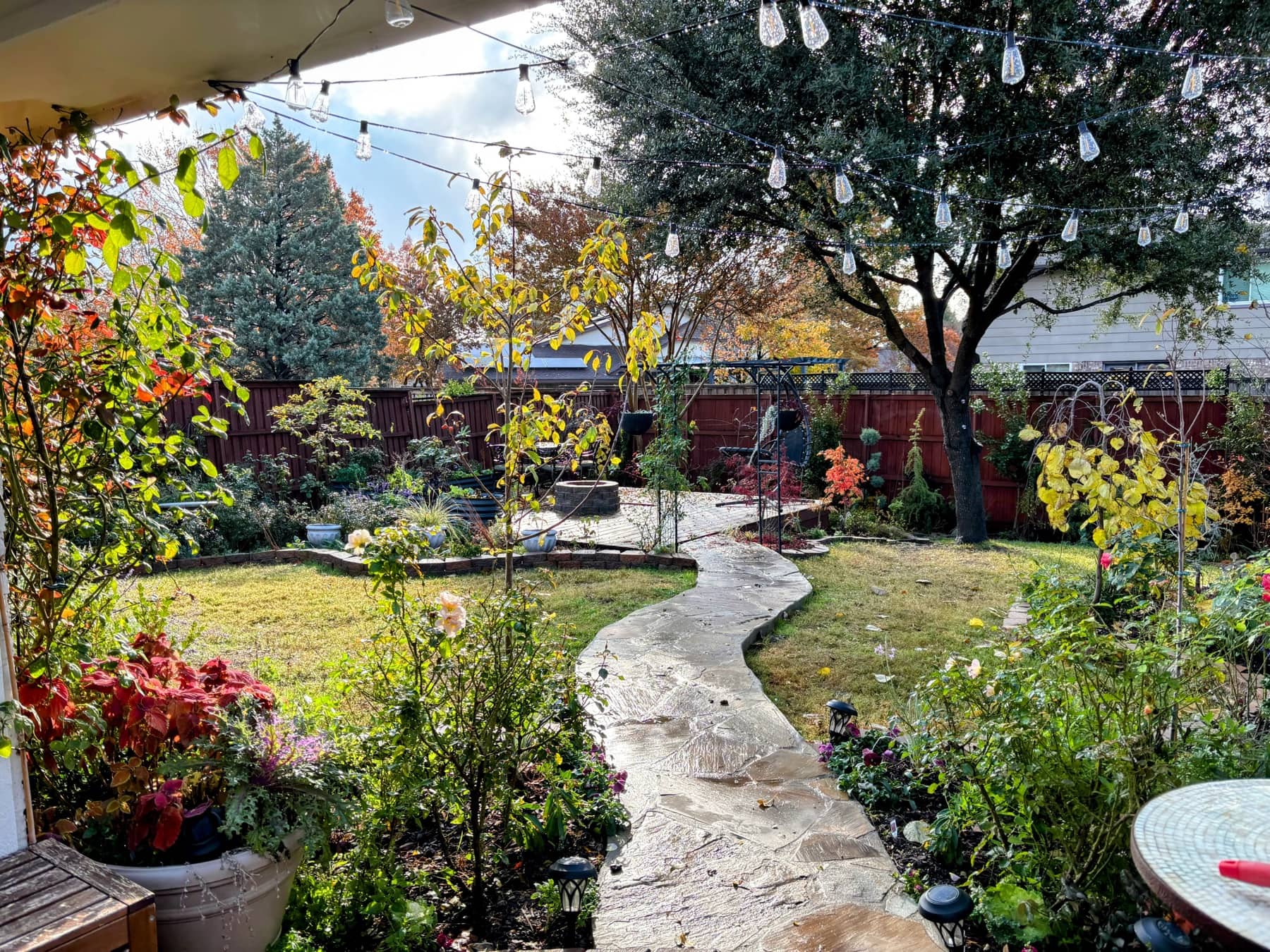 A winding stone path through a lush, layered garden strung with lights