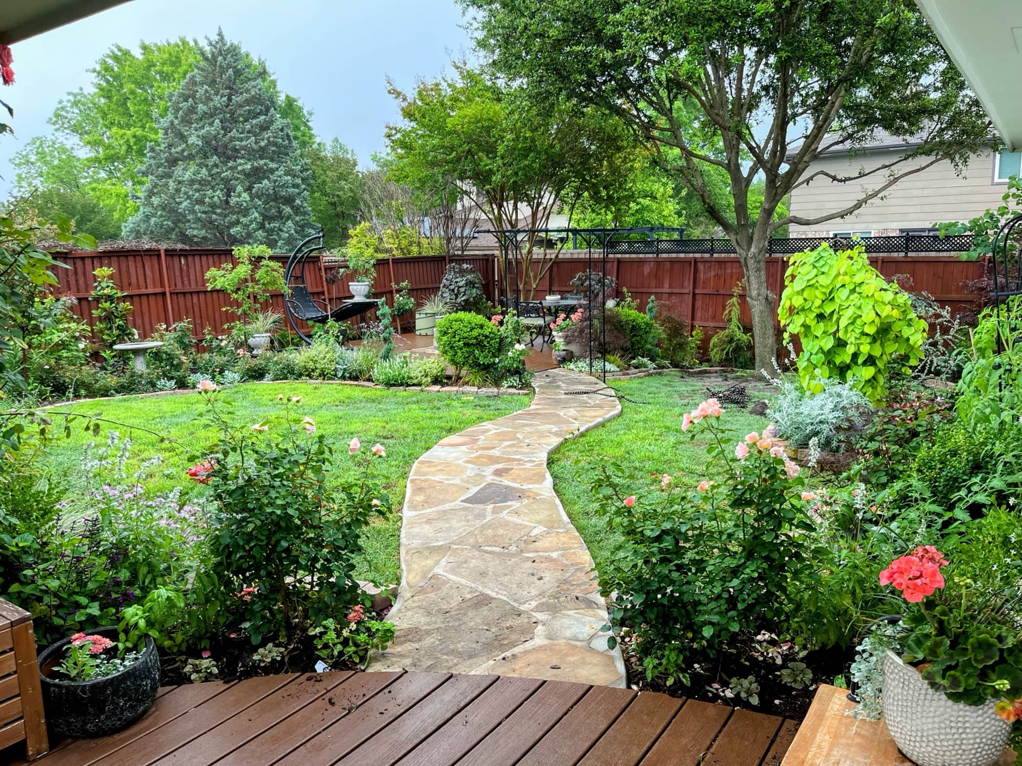 A flagstone path curving through a lush North Texas backyard garden