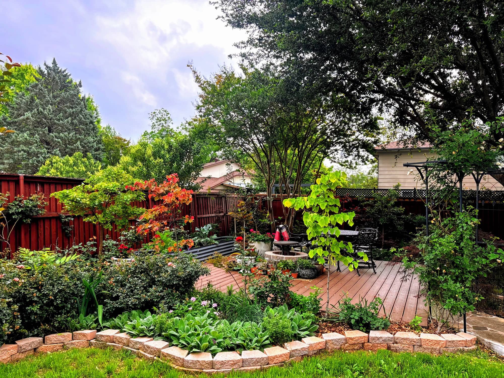 Kelsie's back garden: a deck with seating, raised beds, an arbor and deep layered borders