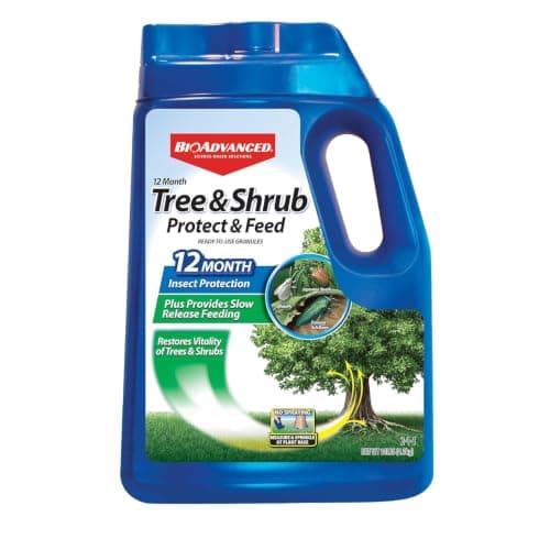 Tree and shrub insect control