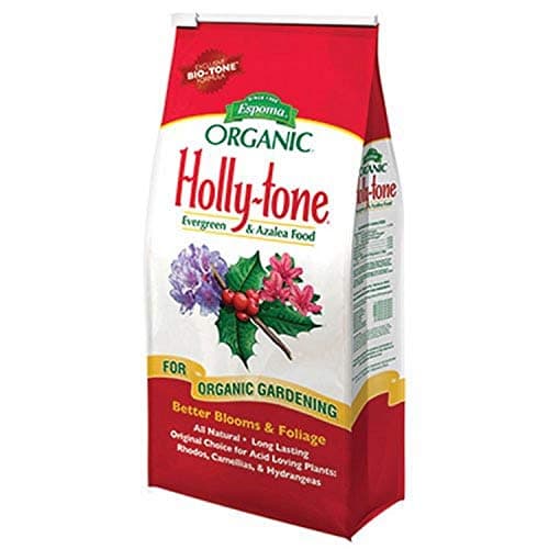 Holly-tone