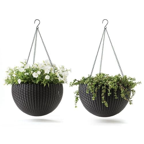 Hanging baskets