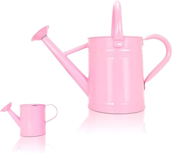 A cute watering can