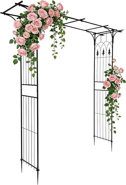 My favorite arbor