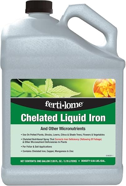 Iron for yellowing leaves