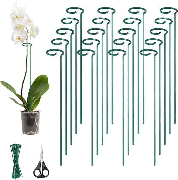 Plant support stakes