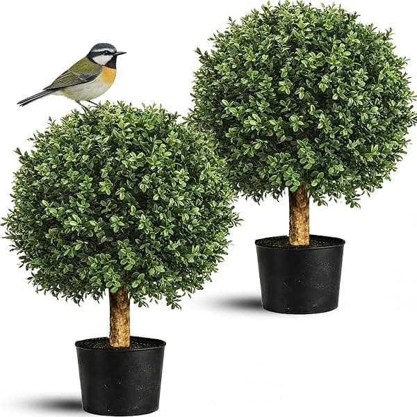 Faux boxwood