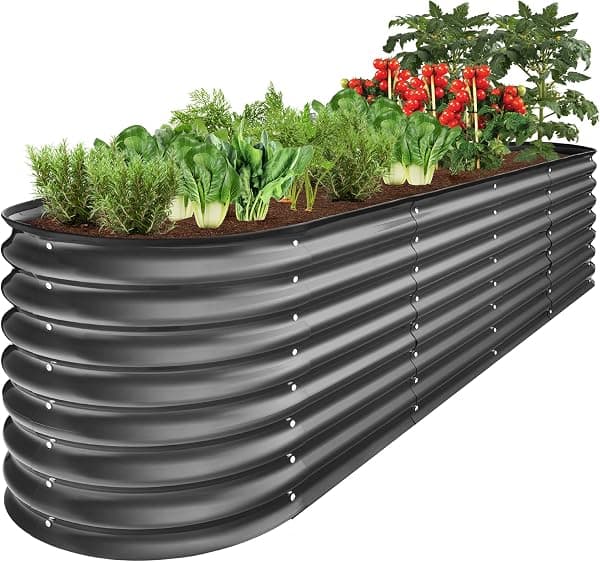 My raised garden beds